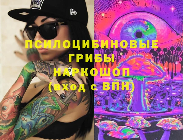 шишки Нея