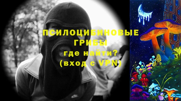 стаф Алексеевка