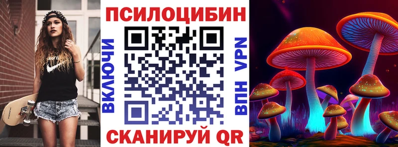 Псилоцибиновые грибы прущие грибы  Новая Ладога 